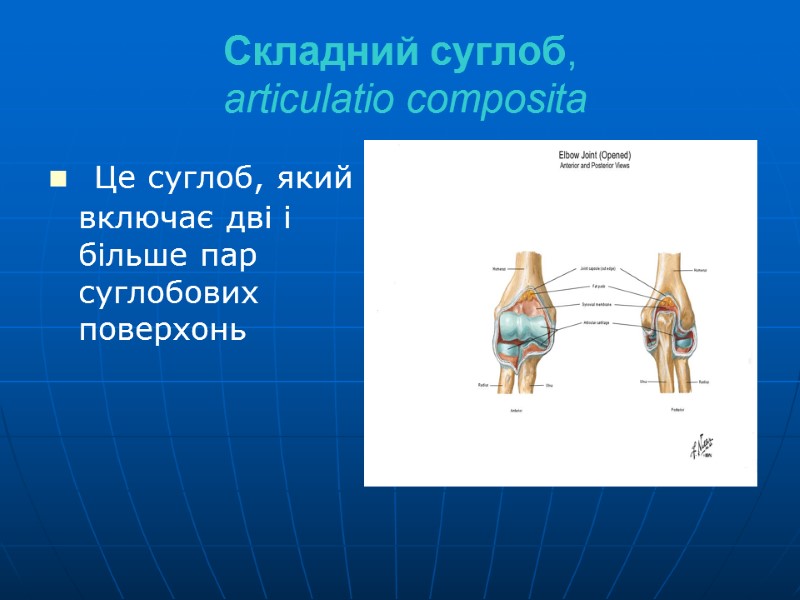Складний суглоб,  articulatio composita  Це суглоб, який включає дві і більше пар